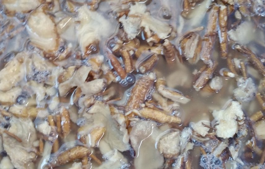 부여 유기농 깐밤 1kg 250g 4ea 생율밤 알밤